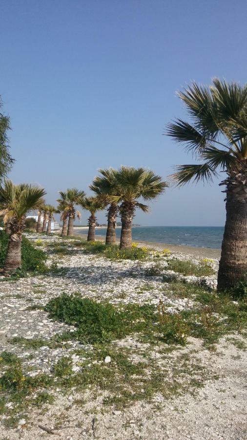 Il Mare Villa Larnaca Luaran gambar