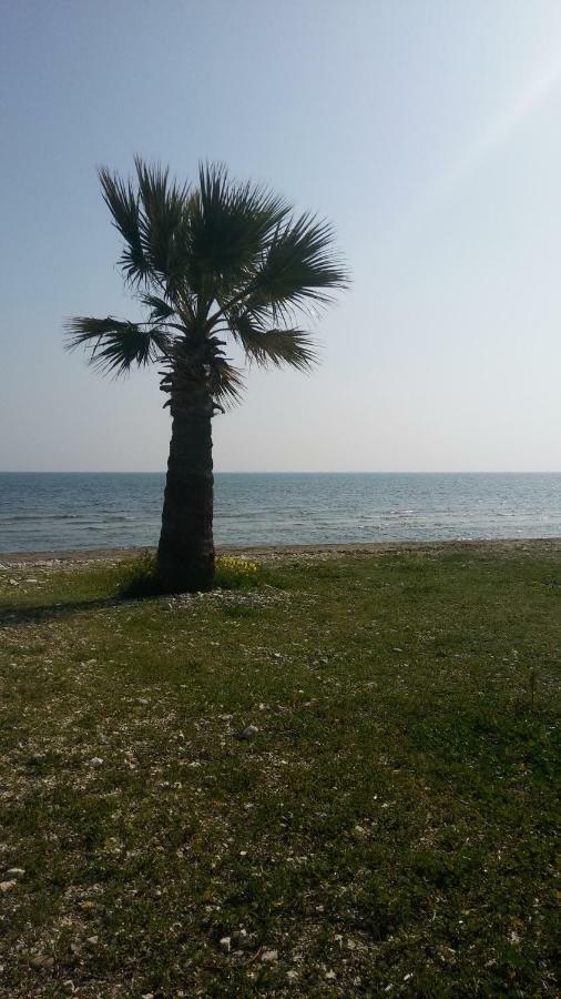 Il Mare Villa Larnaca Luaran gambar